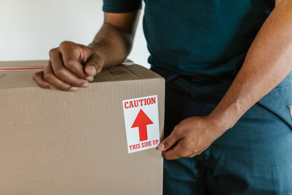 A professional movers from Croydon Man and Van are engaged in a home relocation process inside a well-lit room with white walls and large arched windows providing natural daylight. One mover, standing near the center of the room, is holding two cardboard boxes, one stacked on top of the other, secured with red and black packing tape; he has a friendly expression and is dressed in dark work clothes. The second mover is seated comfortably in a vintage-style armchair with wooden legs and teal upholstery, holding a smaller cardboard box with a red arrow sticker, and is gesturing with one hand as if coordinating or explaining the next step. The wooden floor is clear of debris, and the scene captures the unloading and packing process typical of furniture transport and boxing during a house move. The open space and the presence of boxes suggest an ongoing packing or loading operation associated with a professional removals service.